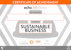 Sustainable business Certificate