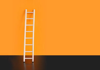 Ladder Safety