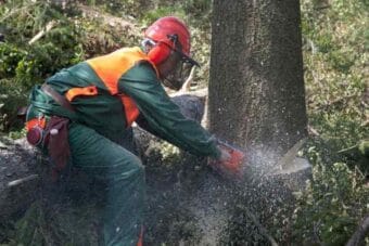 Forestry First Aid +F Course