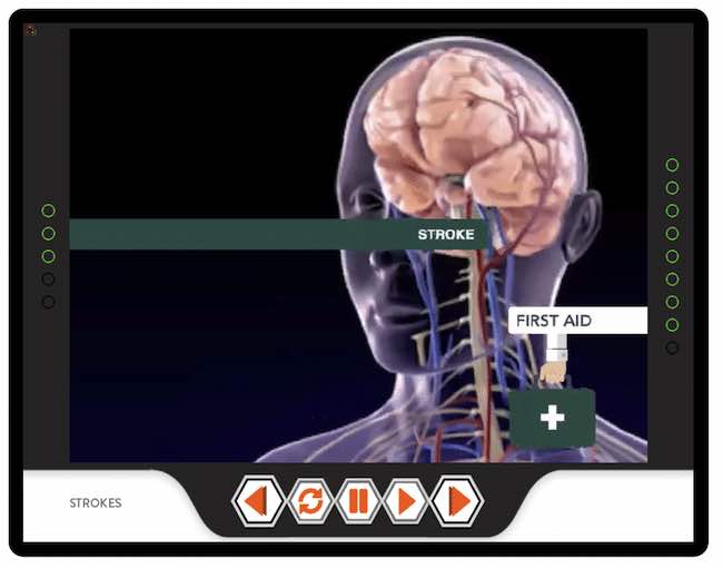 efaw training online